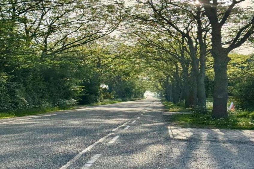 B&B de Gouwe Tijd - foto 28