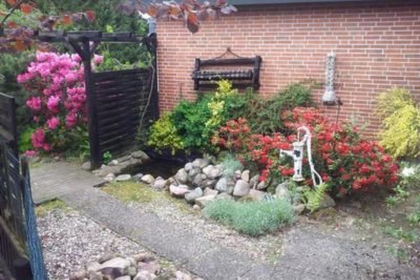 Elbe-Ilenpool -In Ruhe entspannen - foto 27