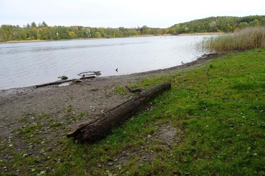 Luxus-Familienappartement / 3 Personen - foto 38