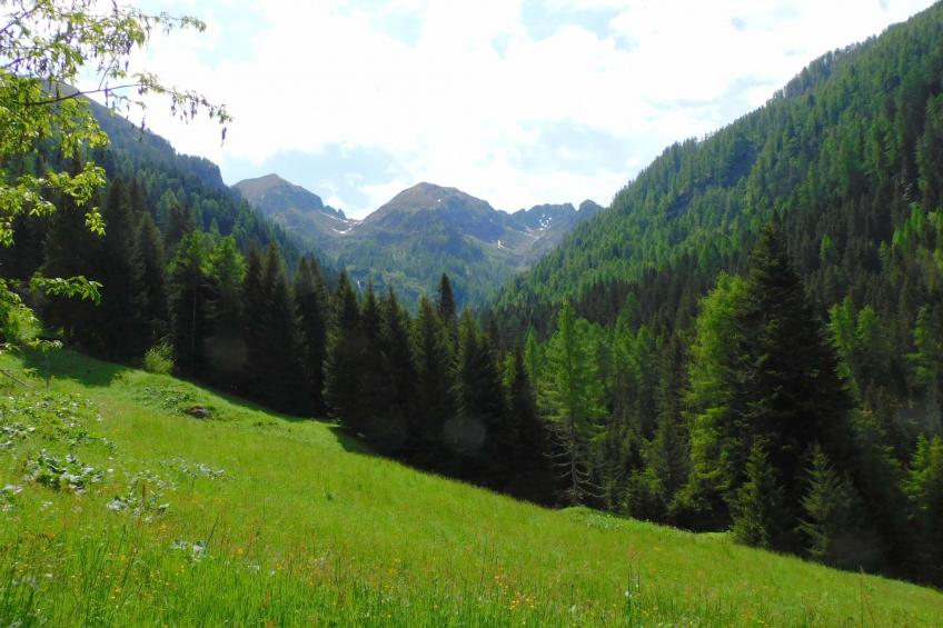 Maso Tòttn - foto 43