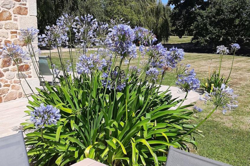 Domaine "La Longere d'Armor" (Landgut "La Longere d'Armor") - foto 10