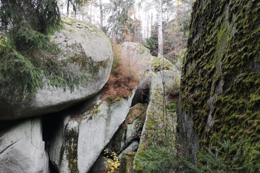 Appartement in Vordorfermühle mit Garten - foto 25
