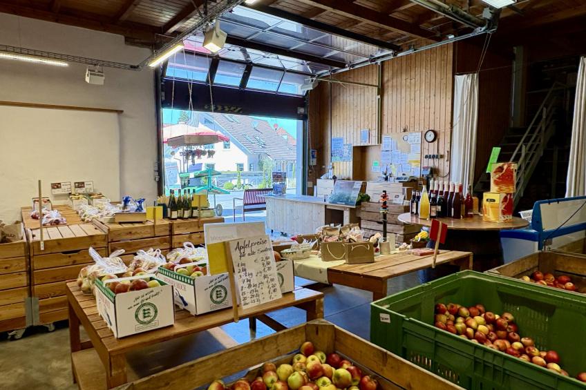 Sonnige Aussichten - Obstbau Koch - foto 47