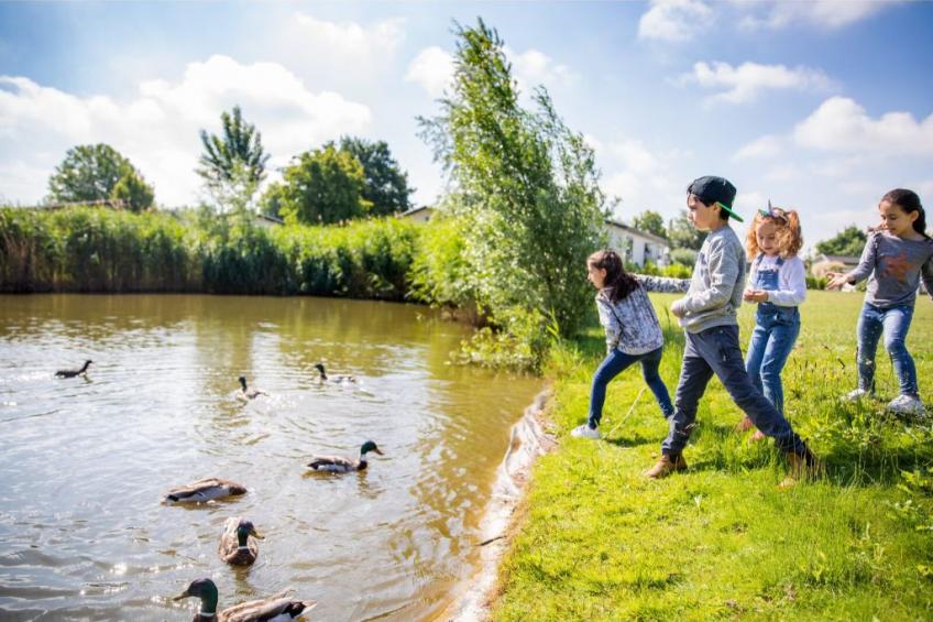 Leijhoeve 6 person - foto 12