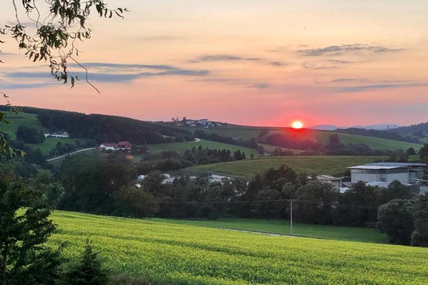 Vakantiepark Jägerwiesen - foto 34