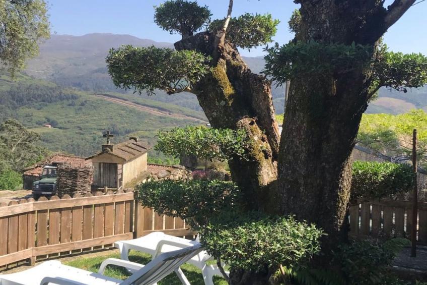 Casas das Olas 6 - Großartige Aussicht, 2 Pools, idealer Ort zum Entspannen und - foto 15