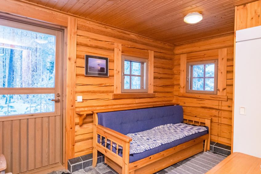 Luhtalemmikki - foto 15