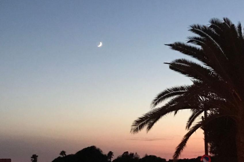 Stilvolles Apartment am Meer - foto 15