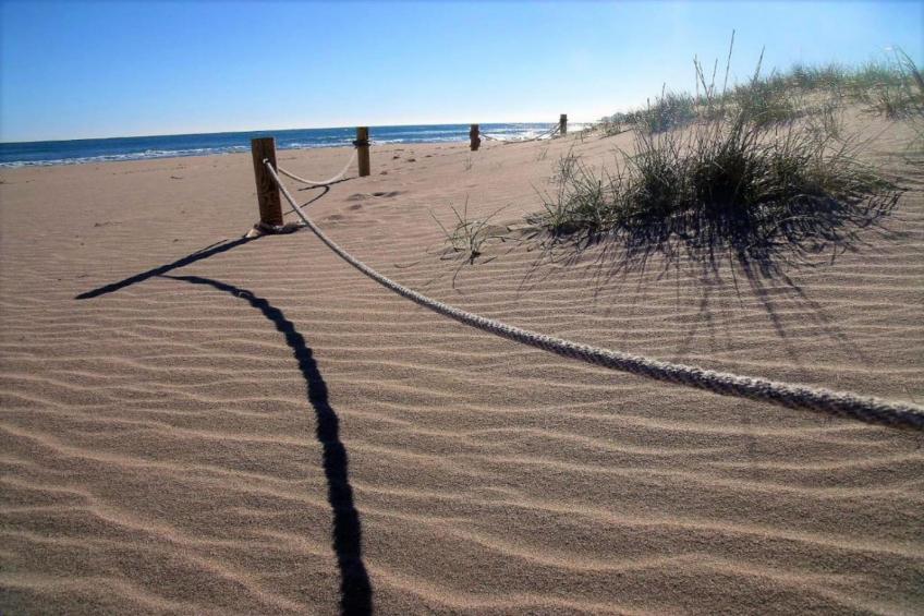 TARRACO 15 (BOLLERIA) - foto 34