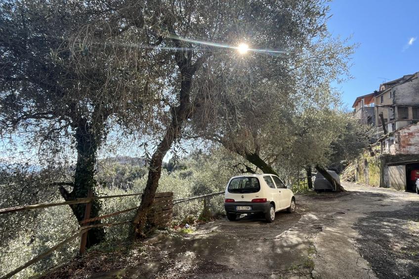 Casa Norvegia - foto 13