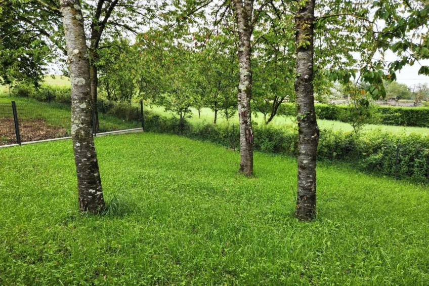 Maison de vacances - NETTANCOURT - foto 36