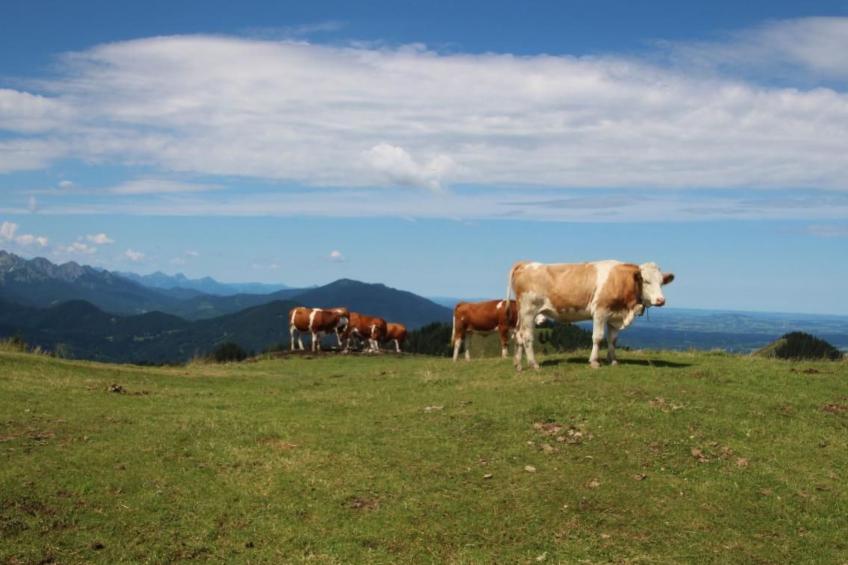 mit Blick auf das Wasser - foto 75