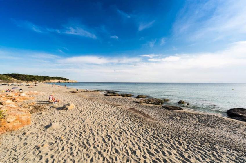 Maison à Sant Tomas - foto 45