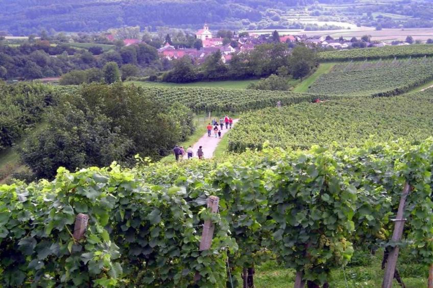 Ferienwohnung Am Marktplatz - foto 36