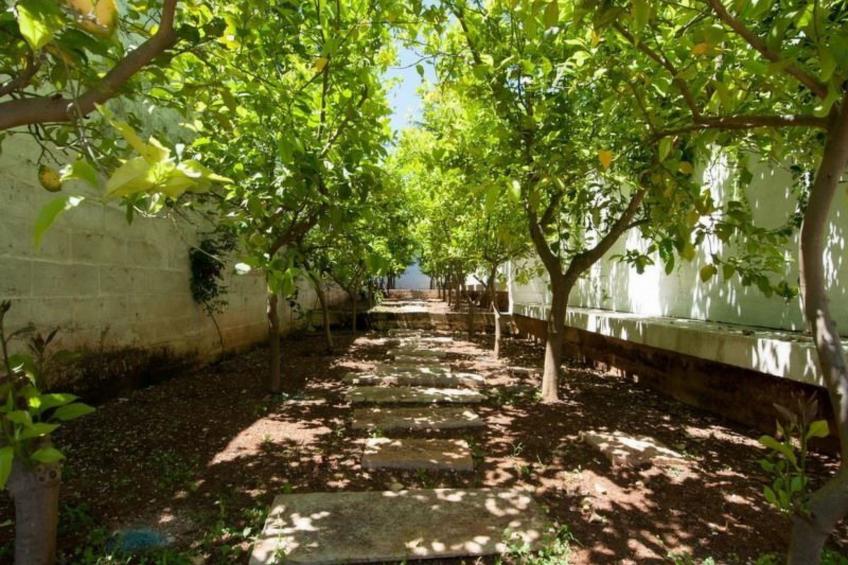 Villa mit privatem Pool in der Nähe der adriatischen Strände - foto 14