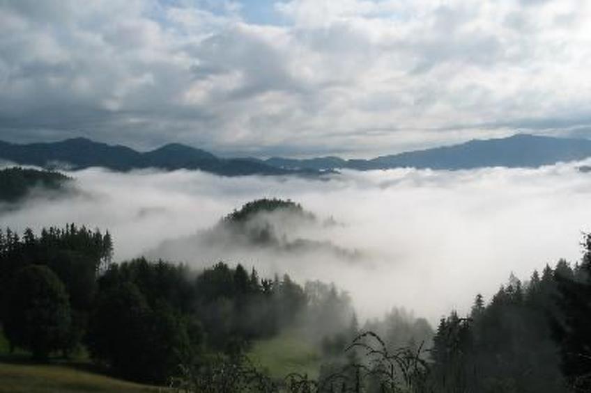 Haus König FEWO - foto 10