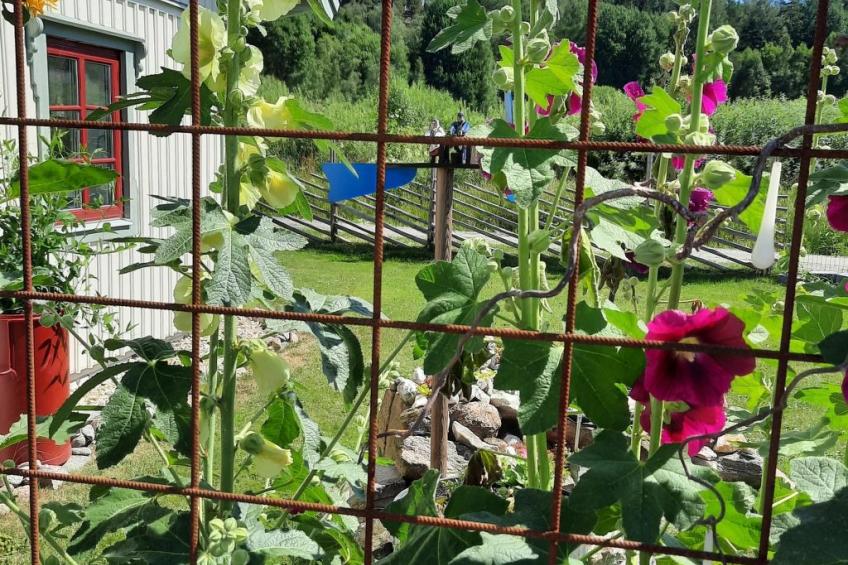 Bauernhaus-Wohnung bei Göta Älv in der Nähe von Göteborg - foto 33