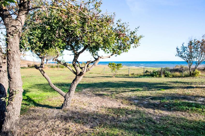 Lodge Premium 5p - foto 23