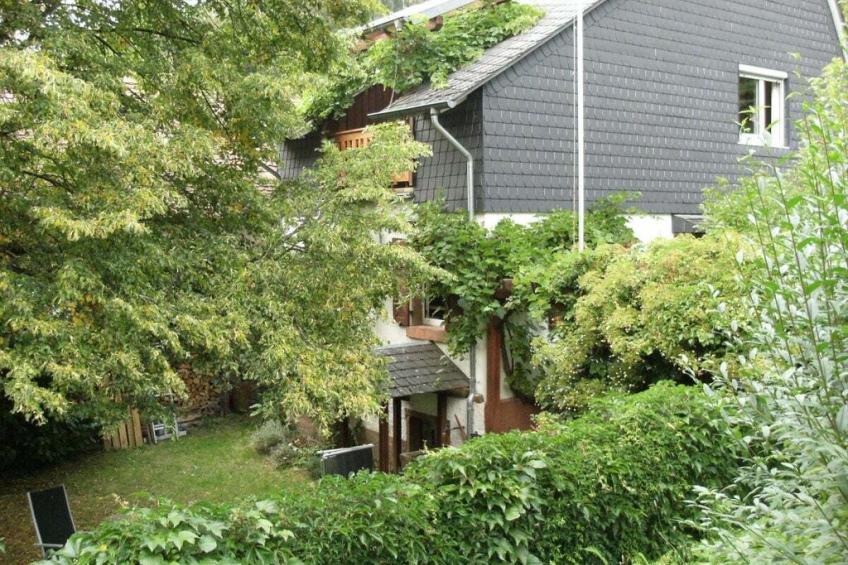 136944 - foto 4