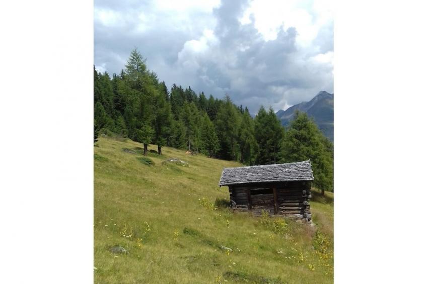 279659 - foto 22