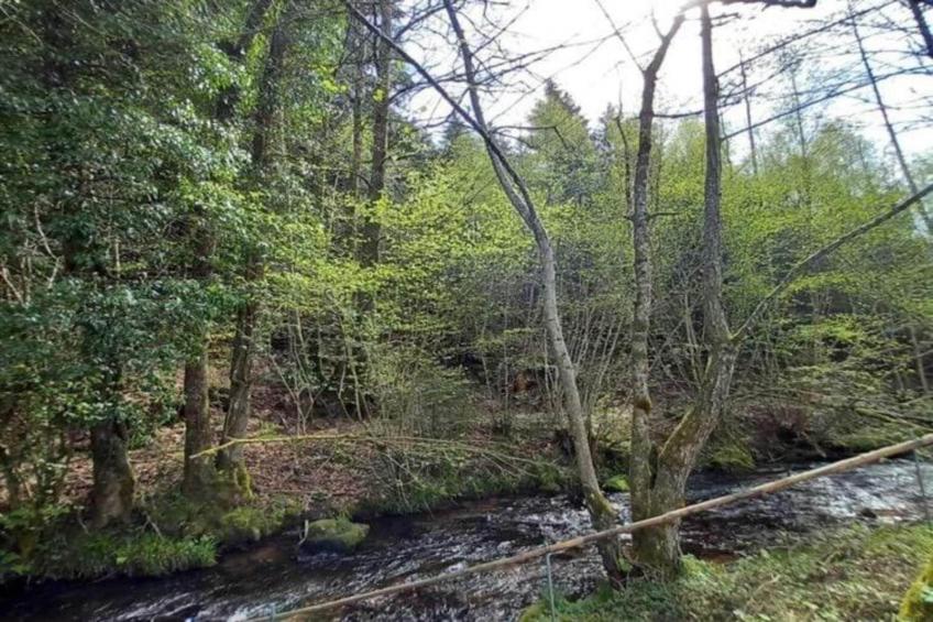 Chalet - TURQUESTEIN - foto 35