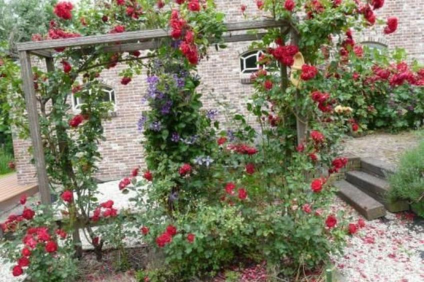 Wohnung auf dem Bauernhof - foto 35