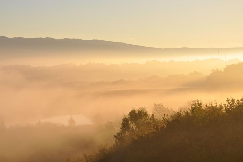 Flache Linde - foto 27