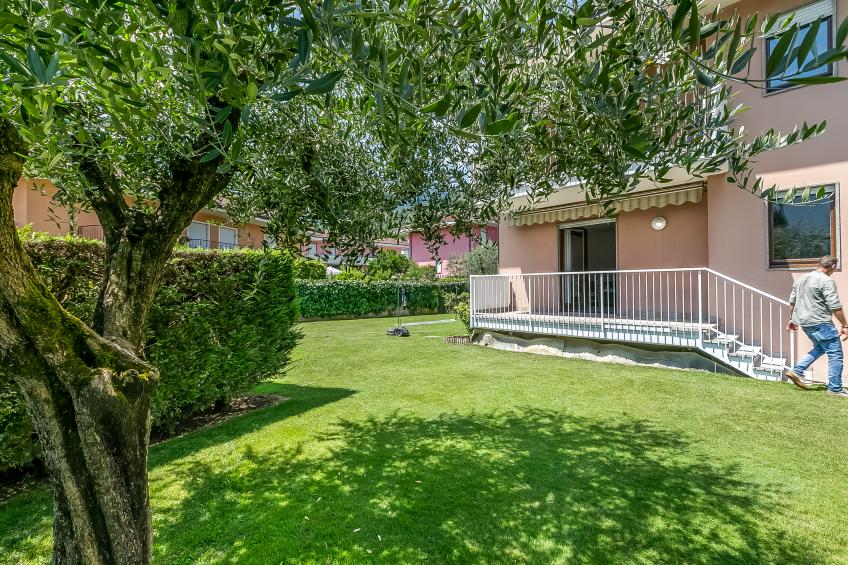 The Olive Tree Garden With Mountain View - foto 12