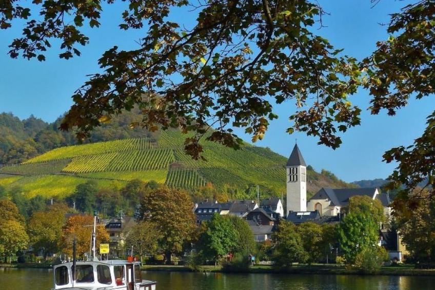 Haus Budinger - foto 18