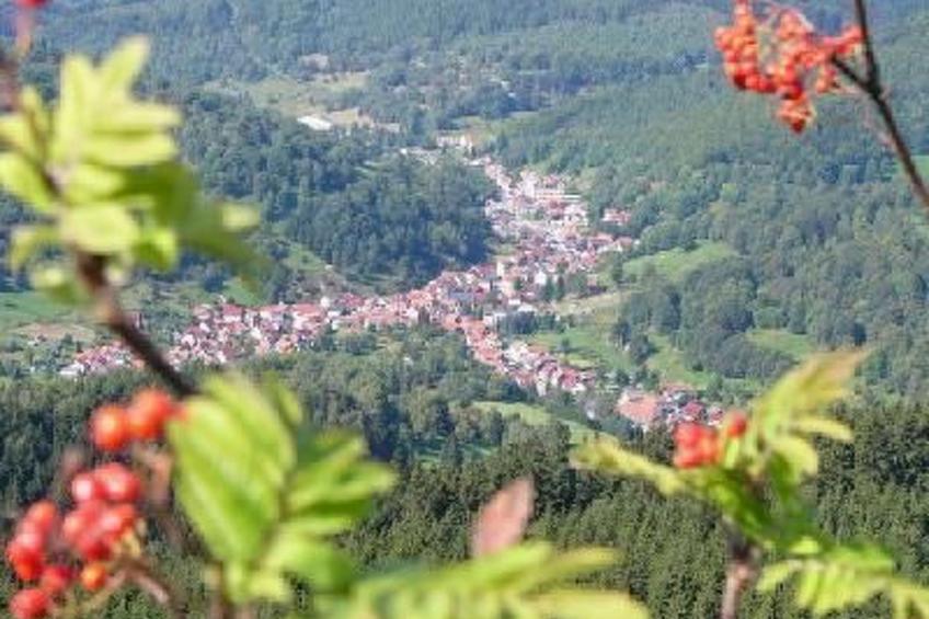 mit Terrasse - foto 6