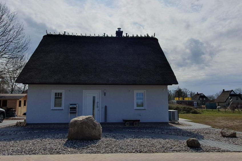 in Mellnitz mit Großem Garten - foto 4