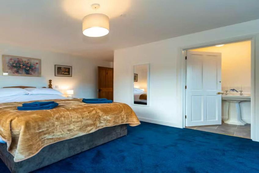 Manor on the Monnow - foto 24