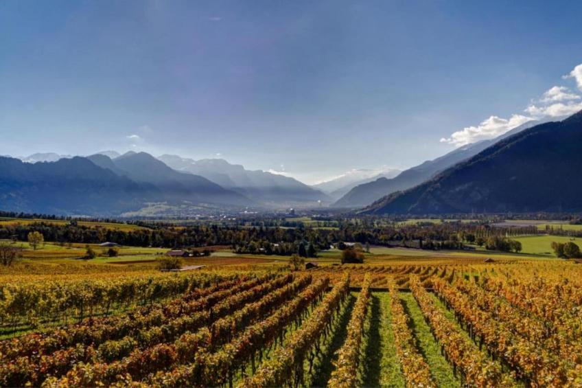 Haus Lerch - foto 25