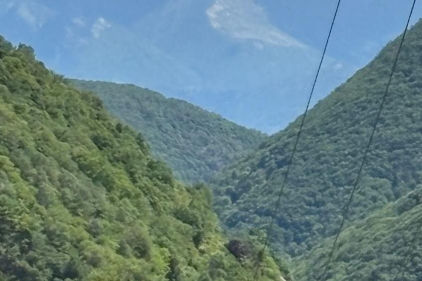 Ferienwohnung - foto 5