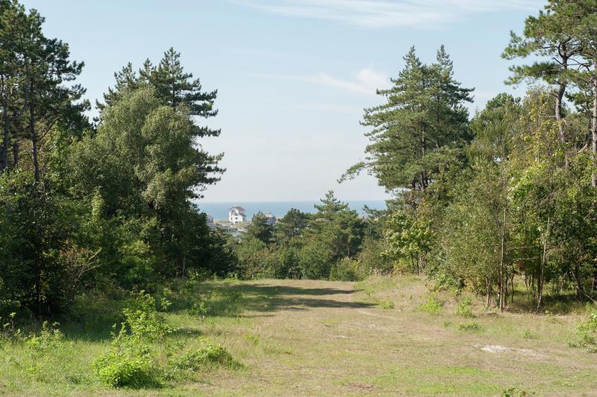 Robijn - foto 27