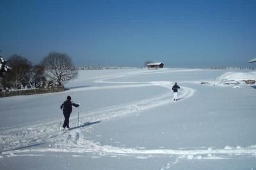 Appartement in Elbersreuth mit Garten - foto 16