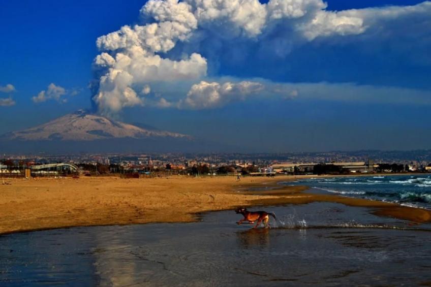 mit privater Terrasse - foto 31