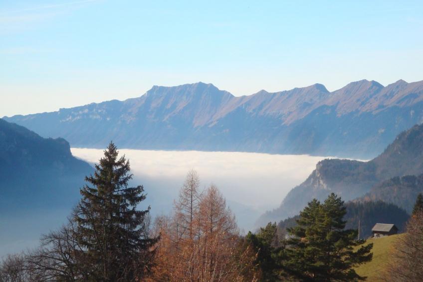 Schaad 4-Bett-Wohnung - foto 11