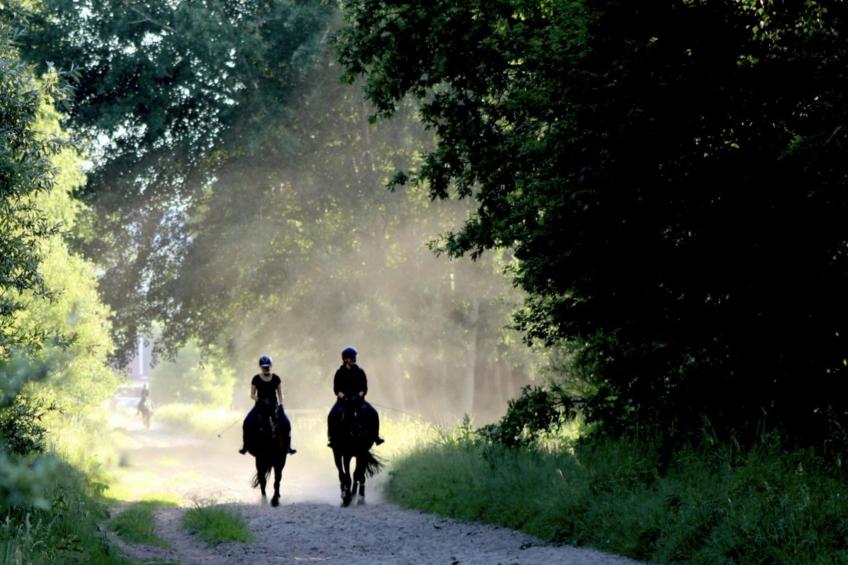 Bungalow Sonnerust - foto 31