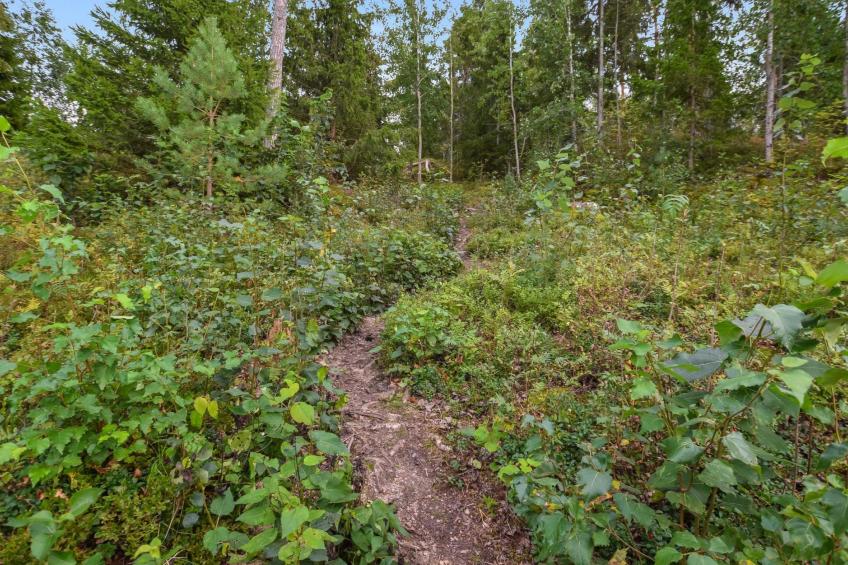 Isokoskelo 5 - foto 27