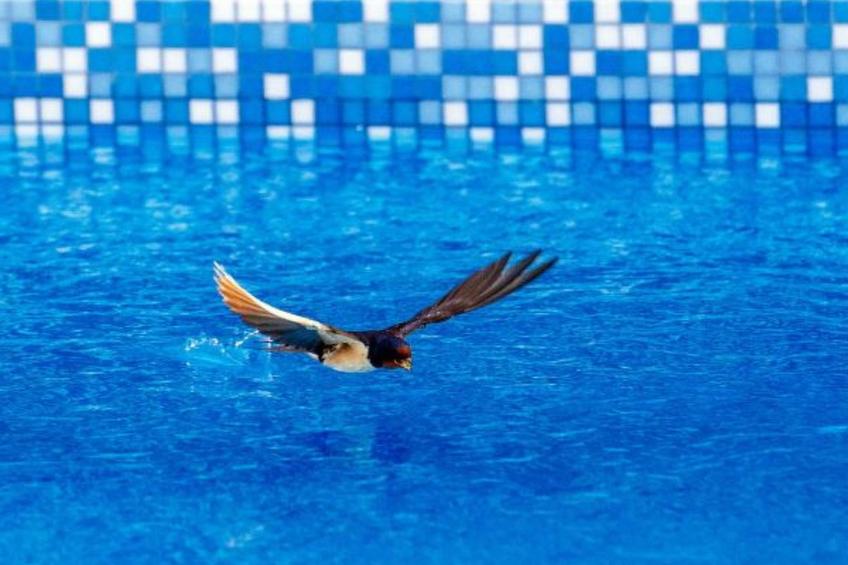 Villa Enna with heated pool - foto 41