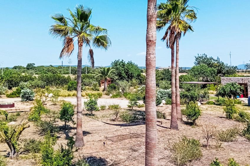 Hort des Padri - foto 17