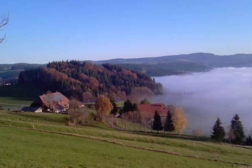 14936 - foto 17