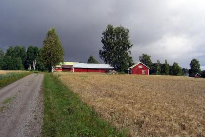 Mykkälä - foto 70