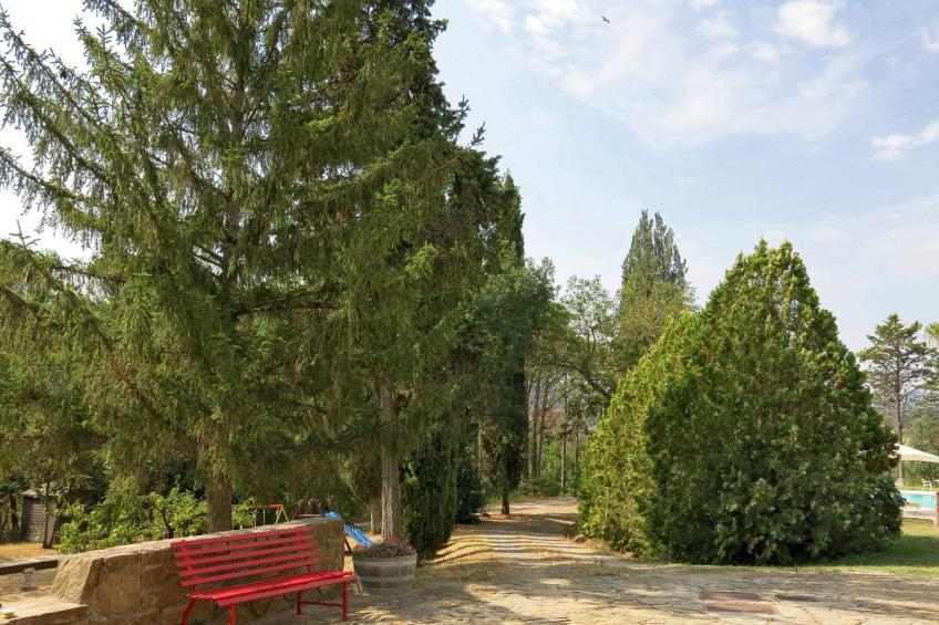 Podere Le Palaie (PEC208) - foto 20