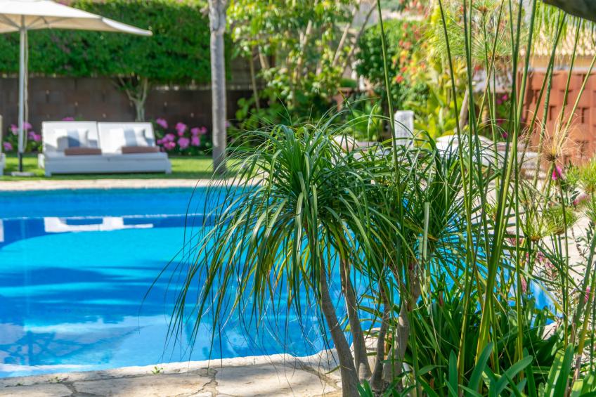 La Font (mancor) - foto 51