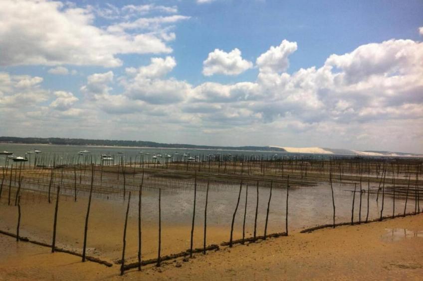 Les Rives Marines - foto 26