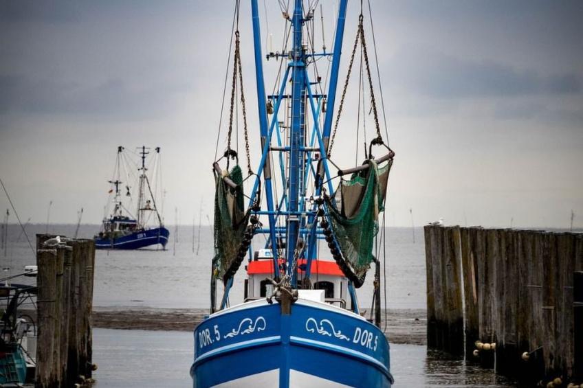 Klaustermeyer - foto 14