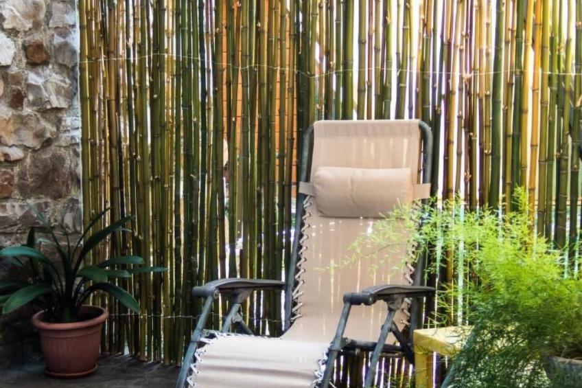 Unabhaengige Wohnung in Velva mit Garten und Grill - foto 15