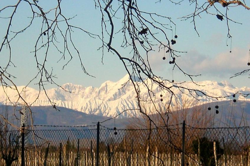 mit Privatparkplatz - foto 24